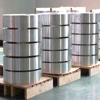 DIN 2507 Stainless Steel Strip Spring 19mm Flat Used In Food Vessel