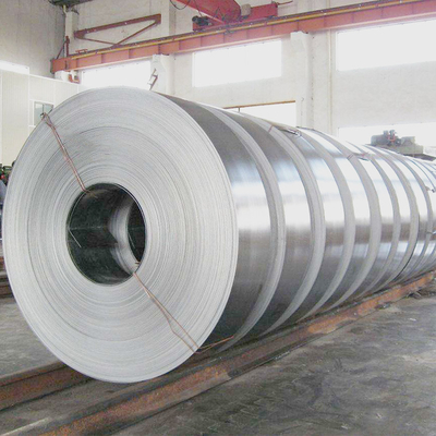 DIN 2507 Stainless Steel Strip Spring 19mm Flat Used In Food Vessel